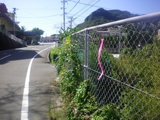 道路沿いの謎のリボン